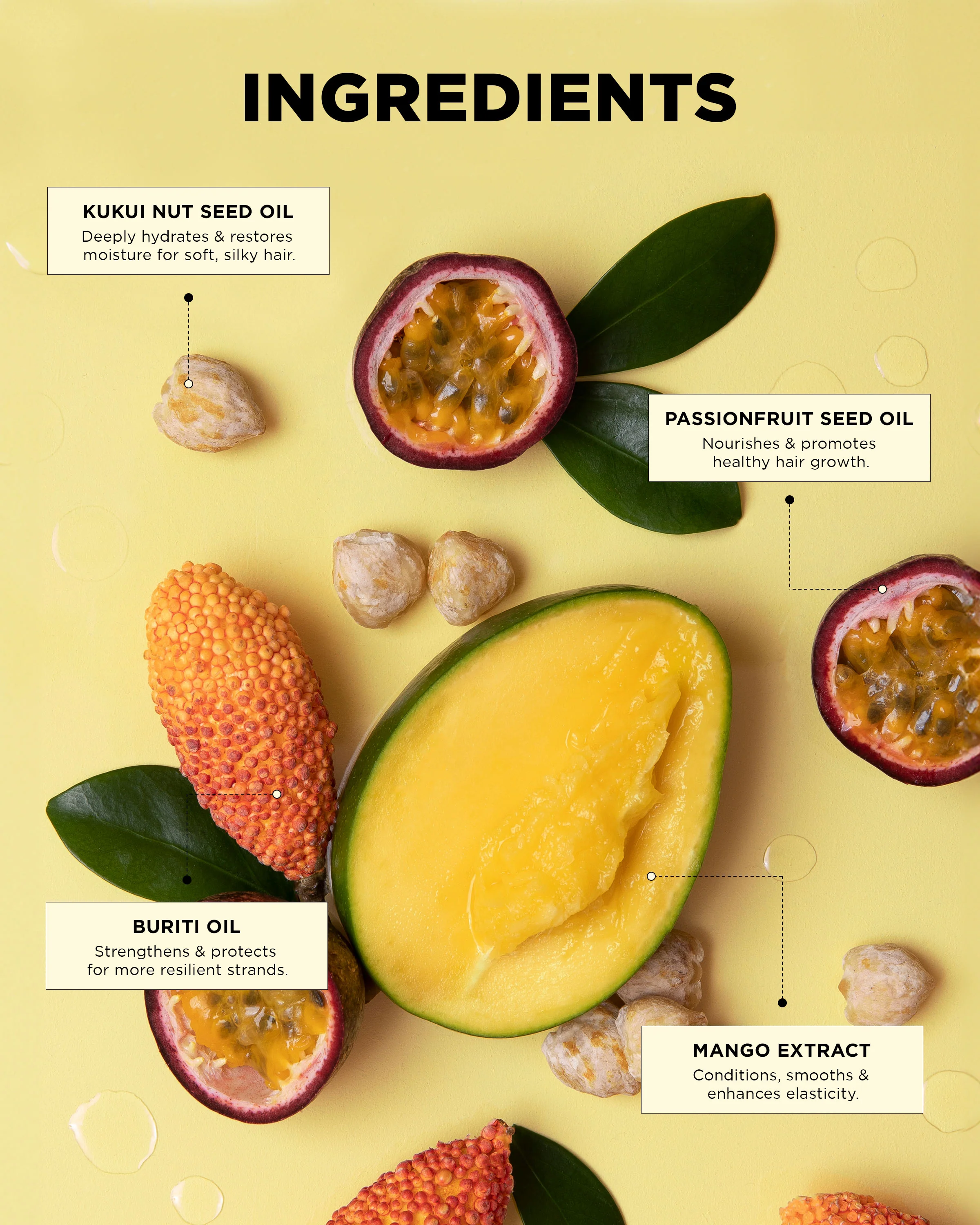 Curl & Definition Bundle - Image 9