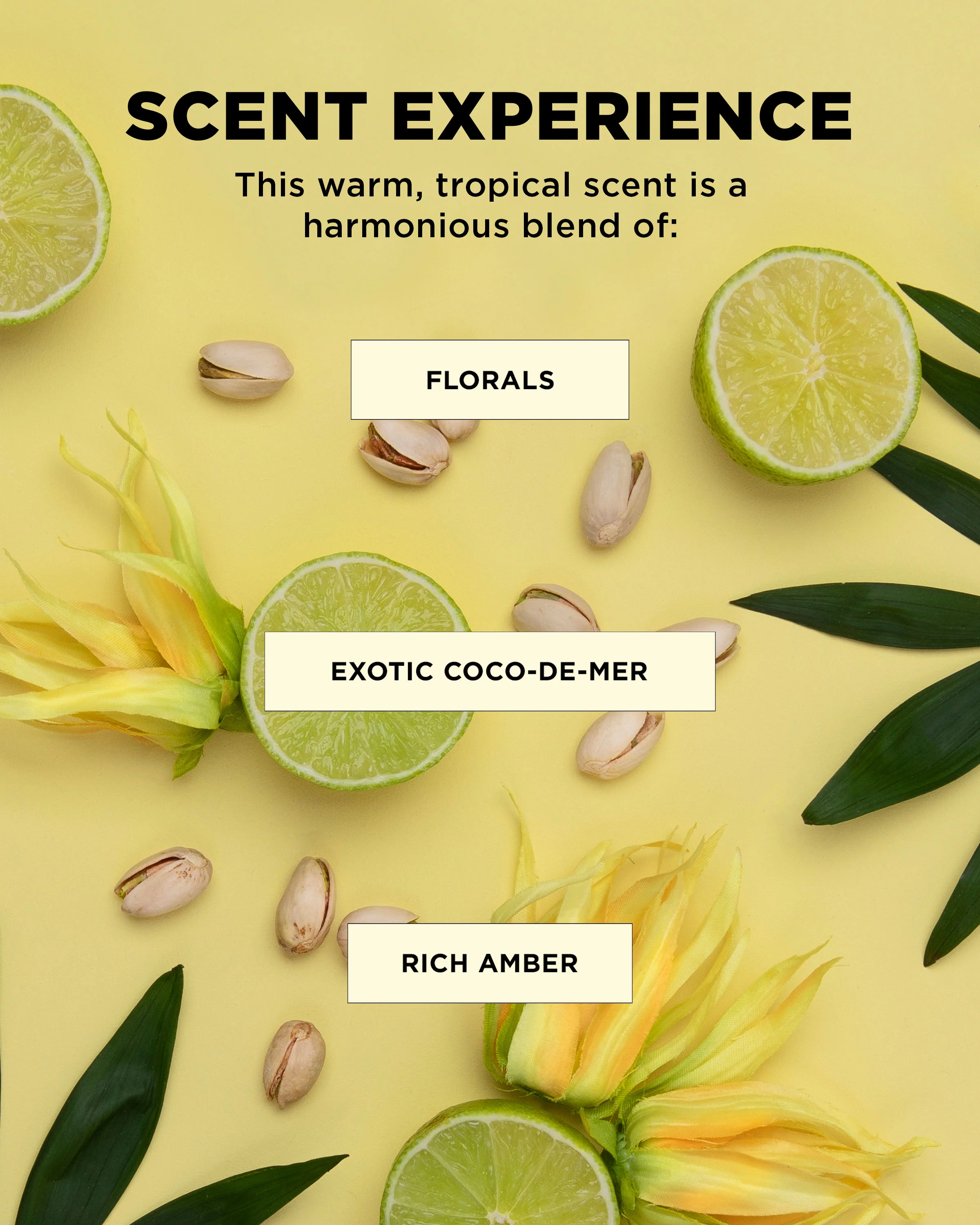 Curl & Definition Bundle - Image 10