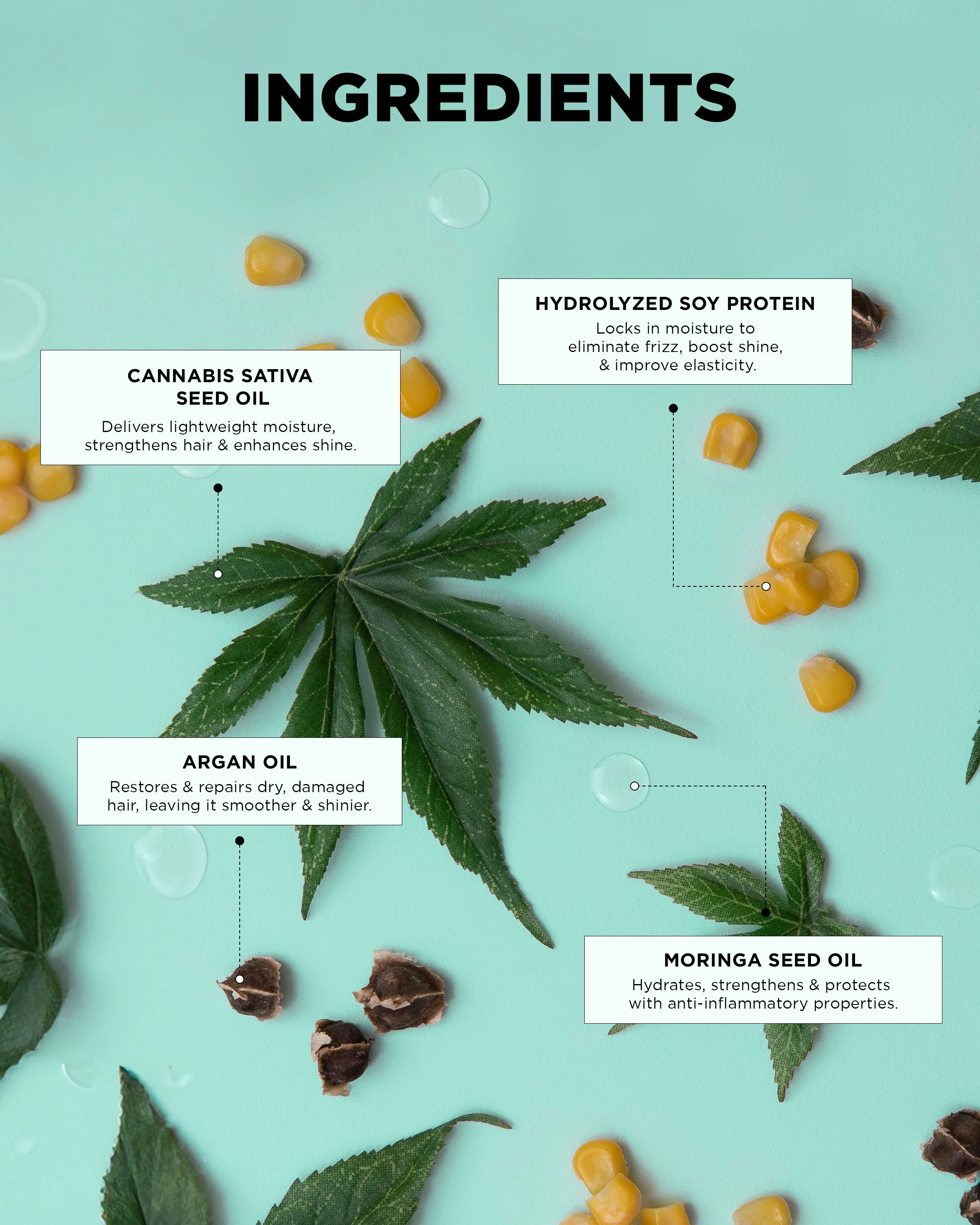 Hydration • Discovery Kit - Image 8